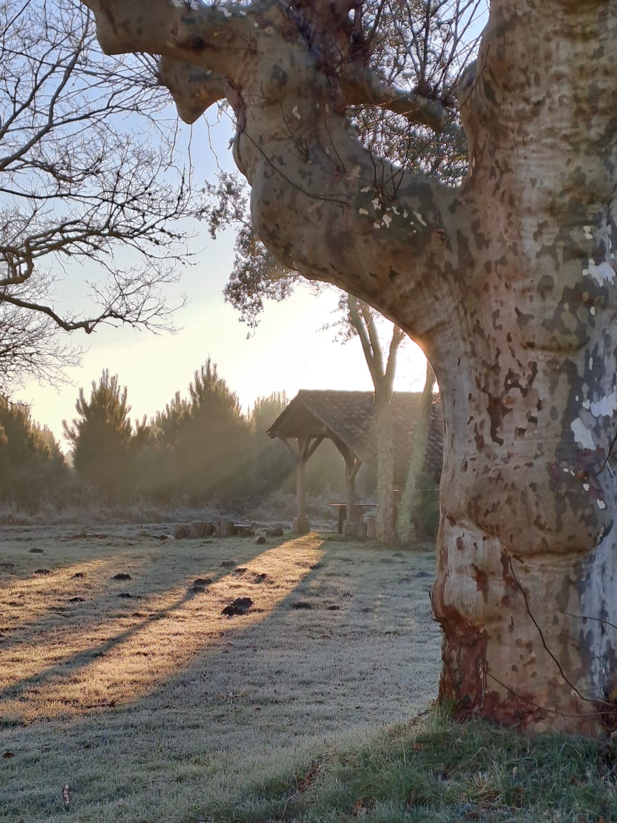 Retraite yoga d’hiver au coeur des Landes (Castets)