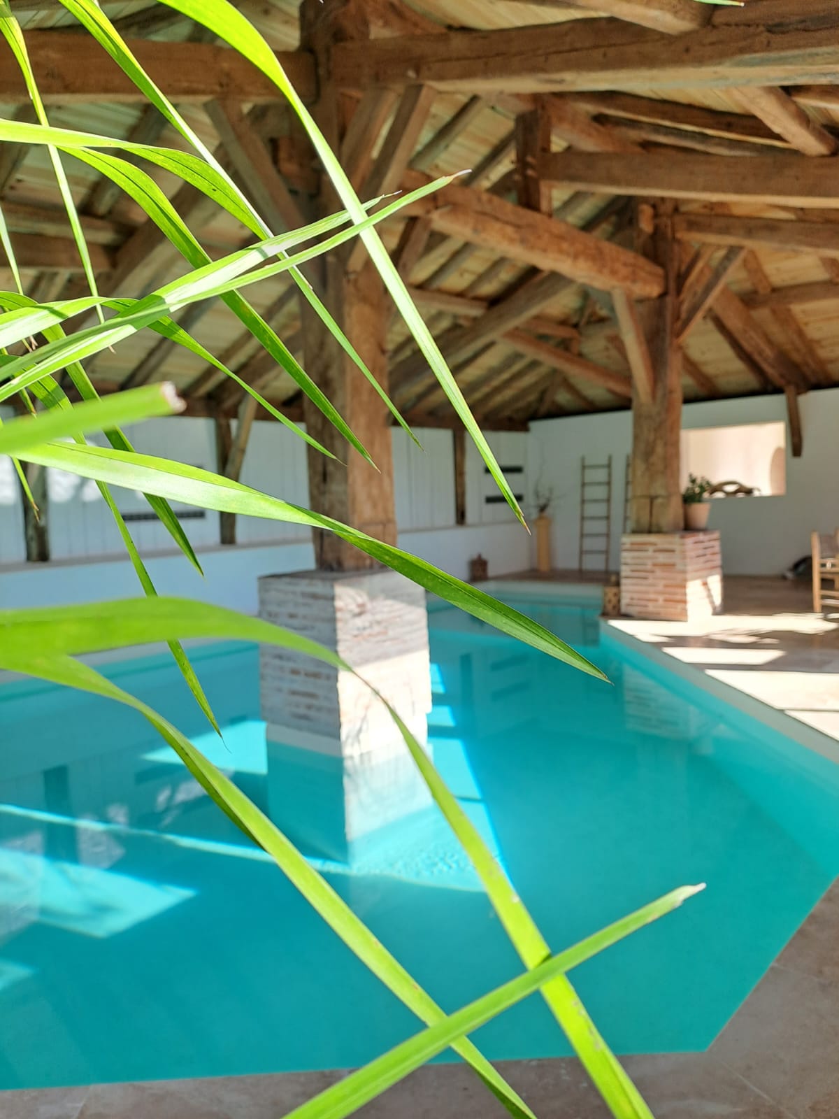 Retraite yoga d’hiver au coeur des Landes (Castets)