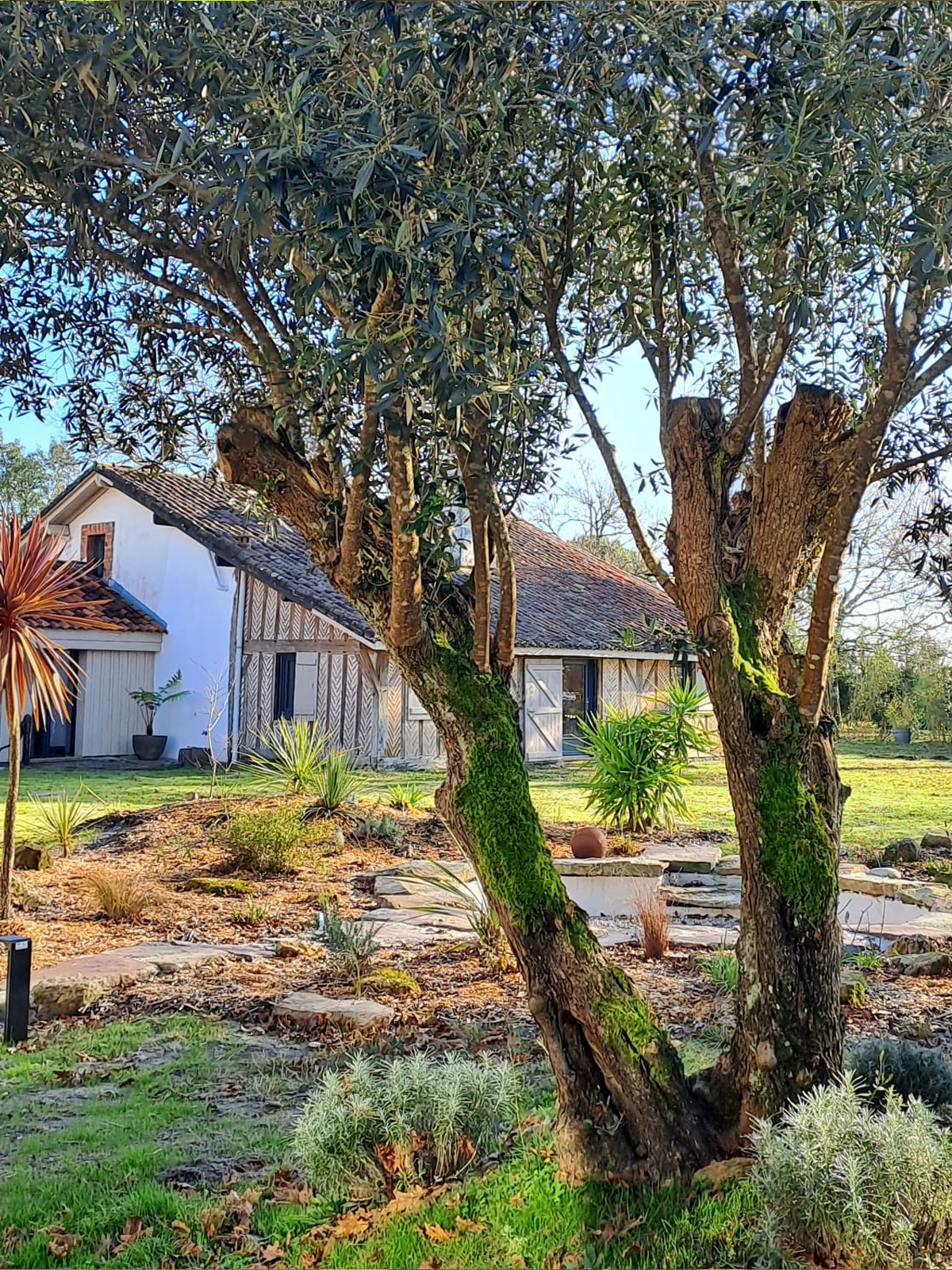 Retraite yoga d’hiver au coeur des Landes (Castets)